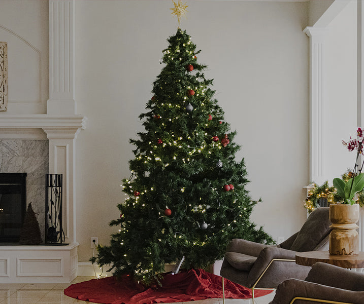 Cómo cuidar un árbol de Navidad natural