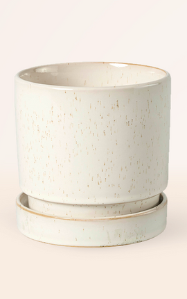 Fiore Beige con Plato