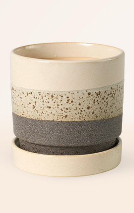 Fiore Taupe con Plato