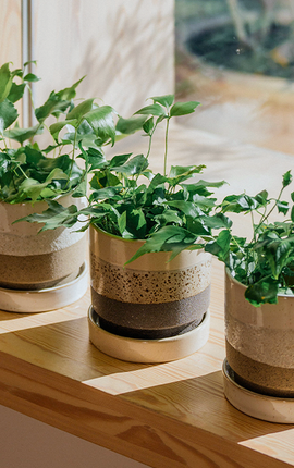 Fiore Taupe con Plato